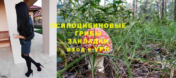 амф Михайловск