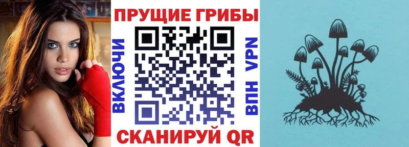 Галлюциногенные грибы Magic Shrooms  Купить где  Норильск 